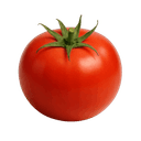 Rajčica