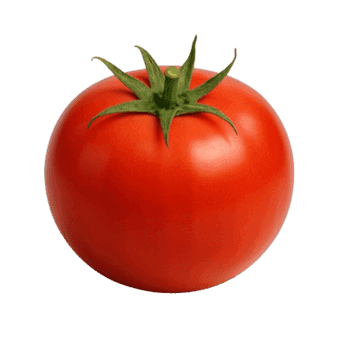 Rajčica fiaschetto