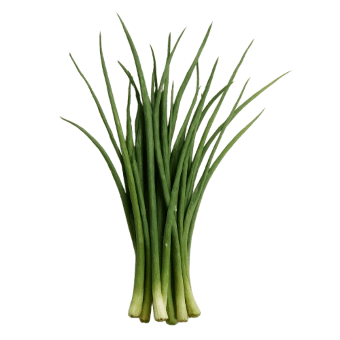 Luk vlasac erba cipollina