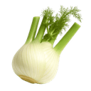Komorač
