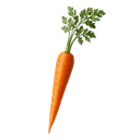Mrkva