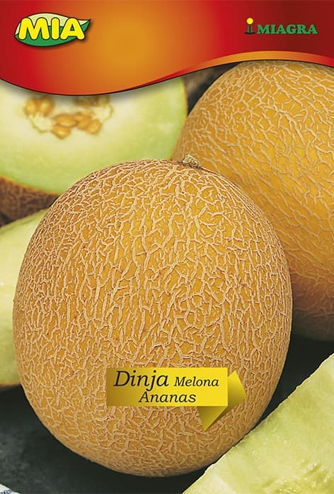 Pakiranje sjemena Miagra Dinja Melona Ananas 3g