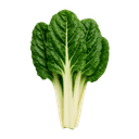 Blitva