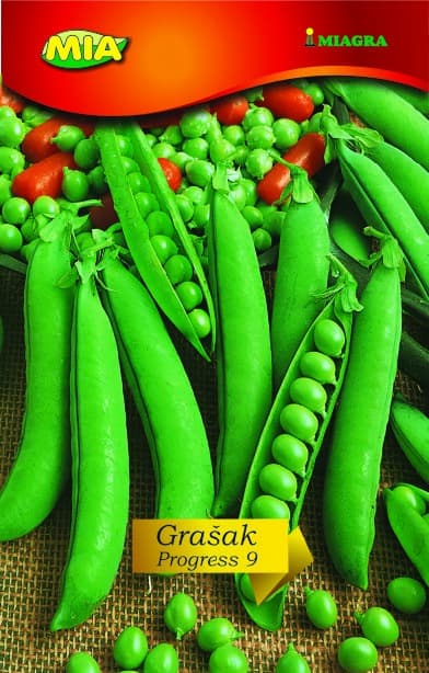 Pakiranje sjemena Miagra Grašak Progress N. 9 200g