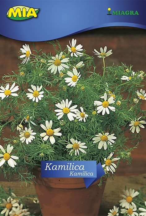 Pakiranje sjemena Miagra Kamilica 1g