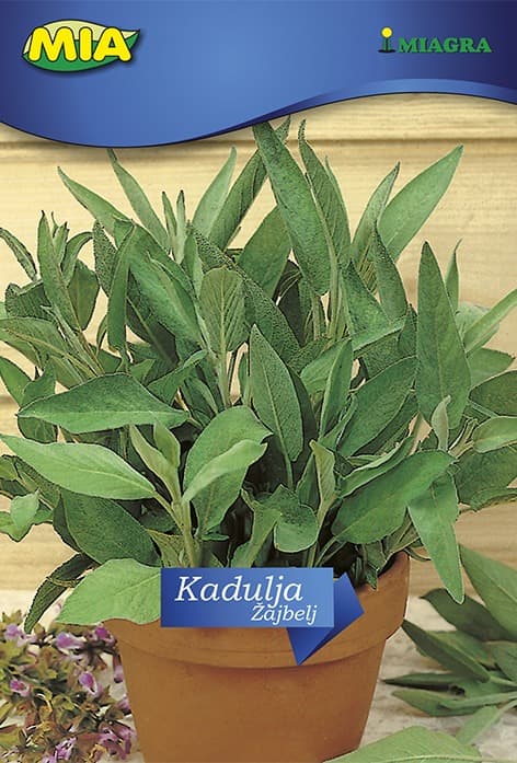 Pakiranje sjemena Miagra Kadulja 1g