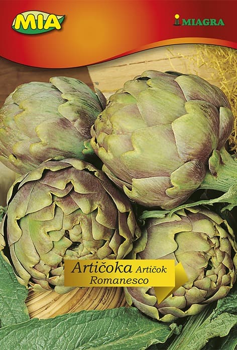 Pakiranje sjemena Miagra Artičoka Romanesco 2g