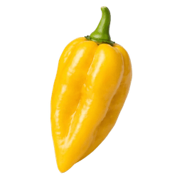 Čili Habanero Yellow (Žuti)