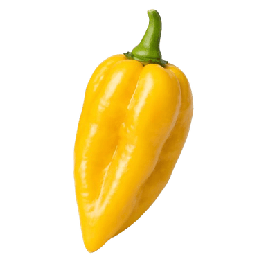 Čili Habanero Yellow (Žuti)