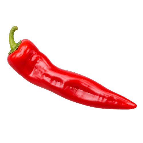 Sorta Paprika crvena roga povezana sa sjemenom Green garden paprika crvena rog 1.25g