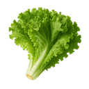Salata