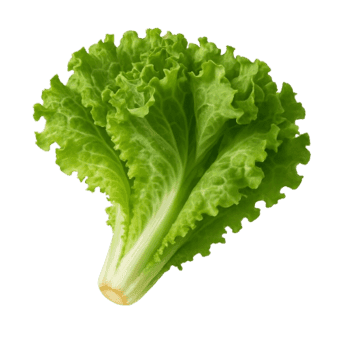 Salata puterica atrakcija