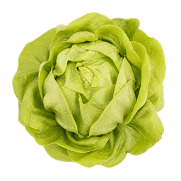 Salata puterica nansen