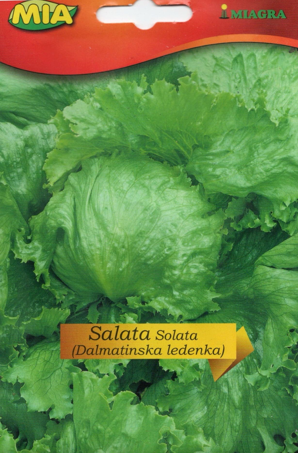 Pakiranje sjemena Miagra Salata Dalmatinska ledenka 3g