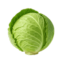 Kupus