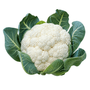 Cvjetača snowball