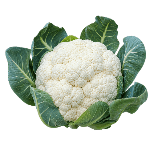 Sorta Cvjetača snowball povezana sa sjemenom Royal seeds cvjetača snowball 1.5g