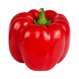 Paprika yolo wonder