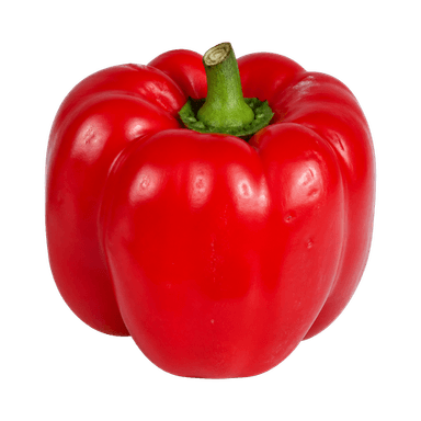 Paprika yolo wonder