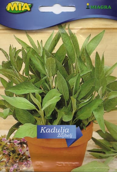Pakiranje sjemena Miagra Kadulja 1g