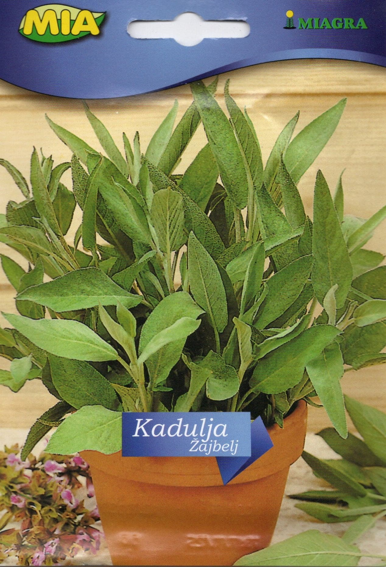 Pakiranje sjemena Miagra Kadulja 1g