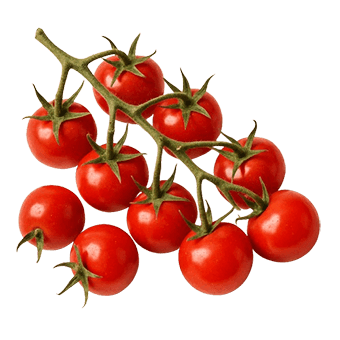 Sorta Rajčica mini red cherry povezana sa sjemenom Green Garden rajčica mini red cherry 0.75g