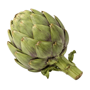 Artičoka