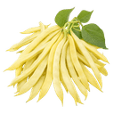 Mahuna
