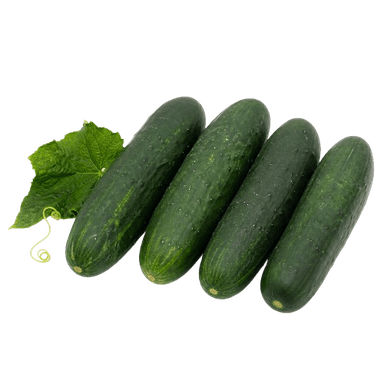 Krastavac Marketmore