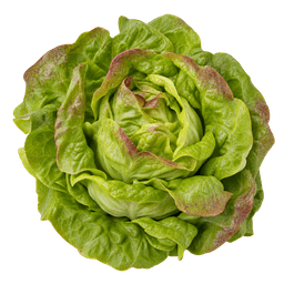 Salata zimska posavka