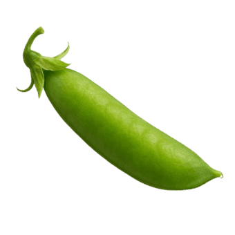 Grah zeleni niski starozagorski