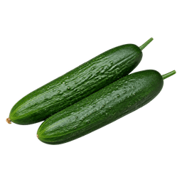 Krastavac sunčani potok