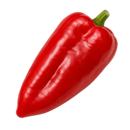 Paprika Slonovo uvo