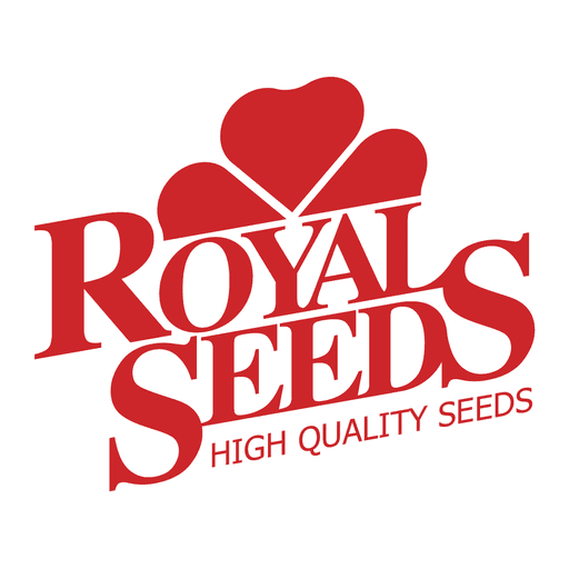 Logo brenda Royal seeds