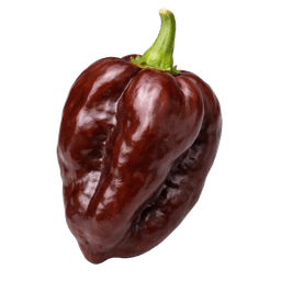 Čili Habanero Chocolate