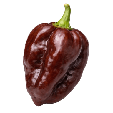 Čili Habanero Chocolate