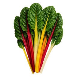 Slika Blitva bright lighs