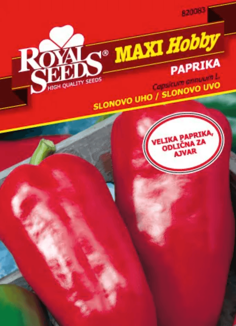 Pakiranje sjemena Royal Seeds Maxi Hobby Paprika Slonovo uvo 0.50g