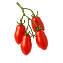 Rajčica scatolone
