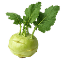 Koraba