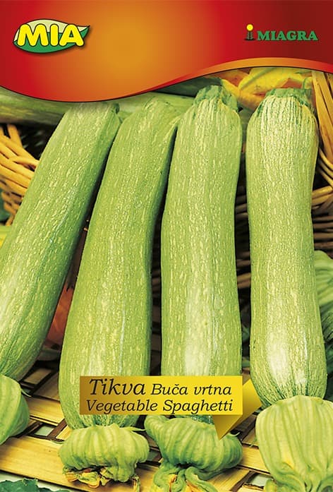 Pakiranje sjemena Miagra Tikva Buča vrtna Vegetable Spaghetti 4g