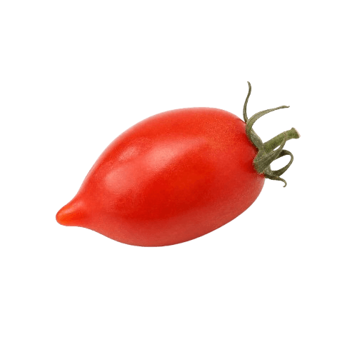 Sorta Rajčica fiaschetto povezana sa sjemenom Royal seeds Rajčica fiaschetto 0.1g