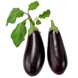 Patlidžan teti F1
