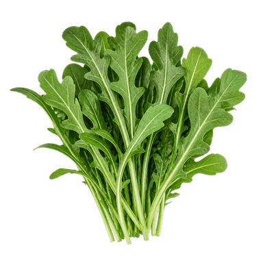Sorta Rukola coltivata povezana sa sjemenom Green Garden rukola coltivata 12g