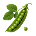 Grašak