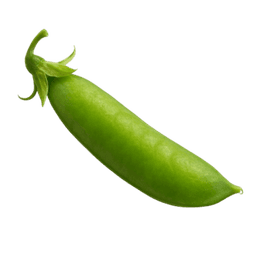 Grah mahunar Meraviglia di Veneyia a grano nero